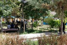 گزارش تصویری از همایش پیاده روی کارکنان در 22 اردیبهشت ماه 